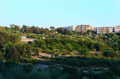 Trees and buildings against clear sky