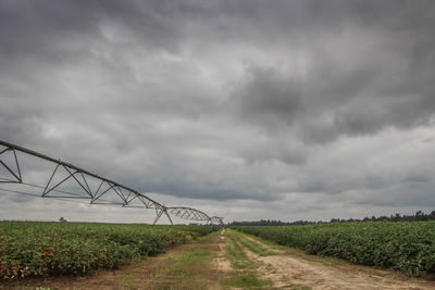 Road passing through field against cloudy sky