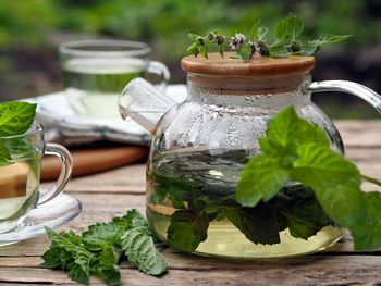 Medicinal herbal tea in a glass teapot with mint leaves on a natural background.