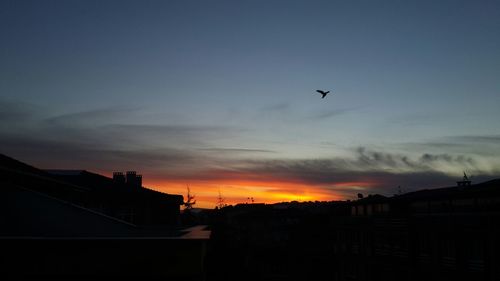 Silhouette birds flying over houses against sky during sunset