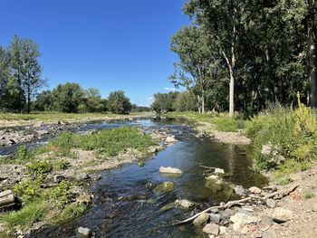 Scenic view of river against clear sky