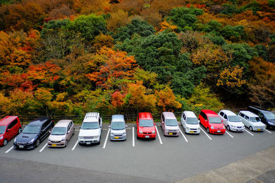 Multi colored trees by road during autumn