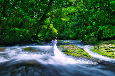 Scenic view of waterfall in forest