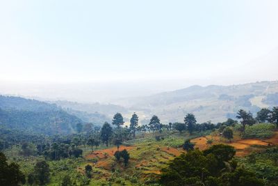 Scenic view of landscape against clear sky