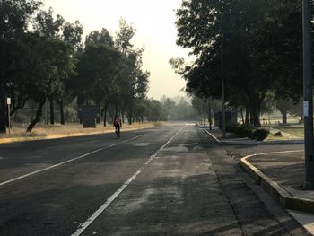 Road amidst trees against sky