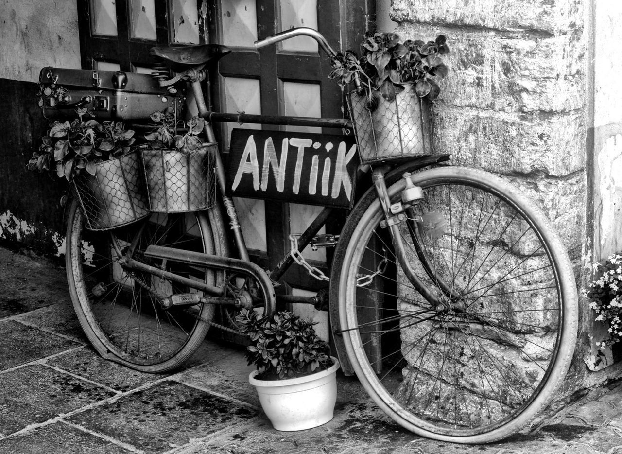 bicycle, transportation, mode of transport, stationary, land vehicle, abandoned, old, plant, parked, built structure, wall - building feature, wheel, building exterior, architecture, house, day, obsolete, parking, outdoors, potted plant