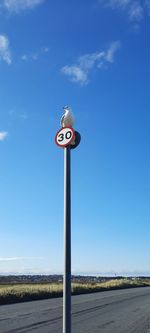 Road sign on street against blue sky