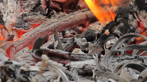 Close-up of wood