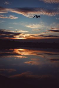 Birds flying in sky during sunset