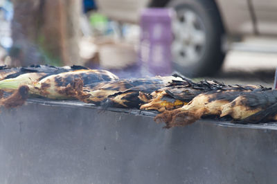 Corns on barbecue