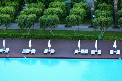 Reflection of trees on swimming pool