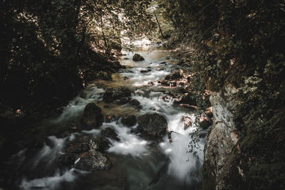 River flowing through rocks in forest