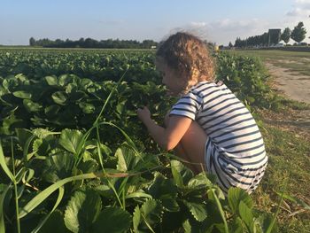 Side view of girl picking strawberry at farm