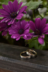 Close-up of pink flower on table