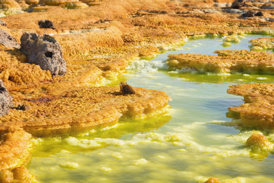 High angle view of rocks by lake