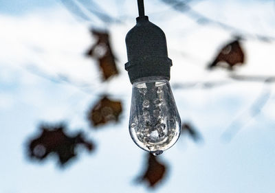 Close-up of light bulb hanging on snow