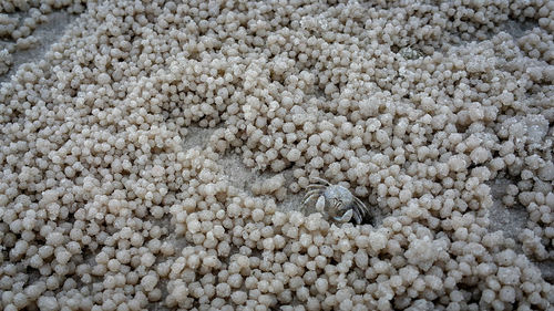 Full frame shot of a beach