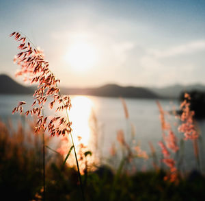 Scenic view of lake against sky during sunset