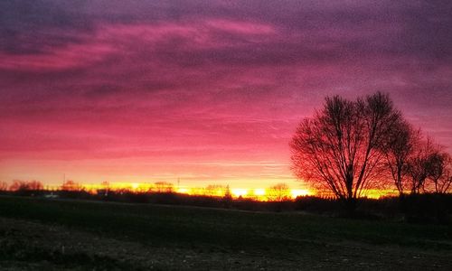 Silhouette bare trees on field against sky during sunset