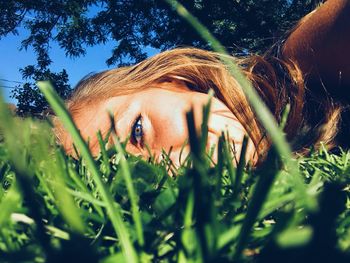 grass