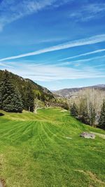 Scenic view of green landscape against blue sky