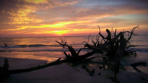 Scenic view of sea at sunset