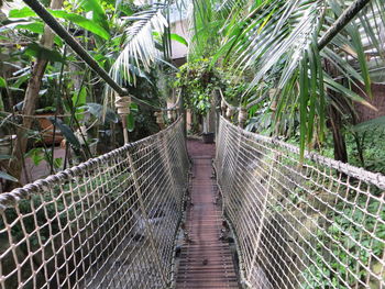 Panoramic view of footbridge amidst trees