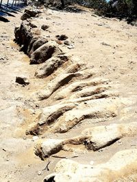 High angle view of sand