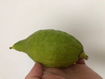 Cropped image of hand holding fruit against white background