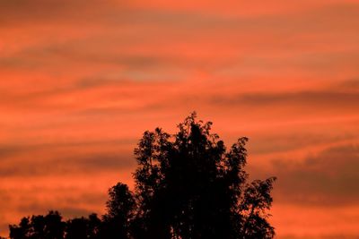 Low angle view of silhouette trees against dramatic sky