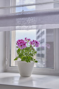 Flower vase on window sill