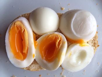 Close-up of food in bowl