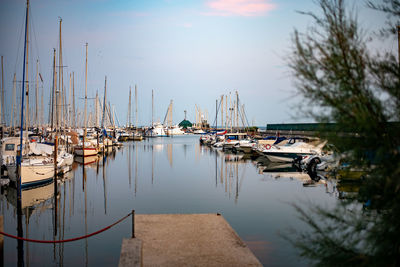 Sailboats moored in harbor