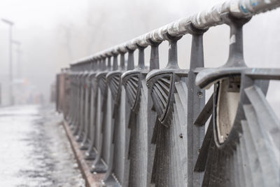 Close-up of snow in row