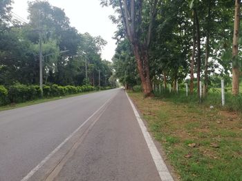 Empty road along trees