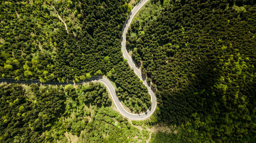 Winding road from high mountain pass, in summer time. aerial view by drone . romania