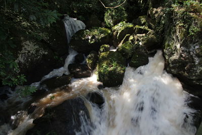 Stream flowing through rocks in forest