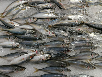 Full frame shot of fish for sale in market