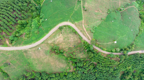 Aerial view of countryside road passing through the green forrest and mountain