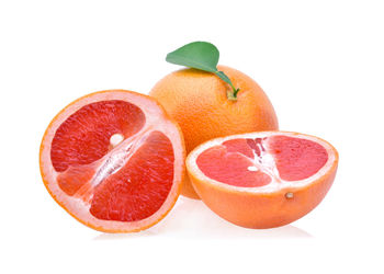 Close-up of orange fruit against white background