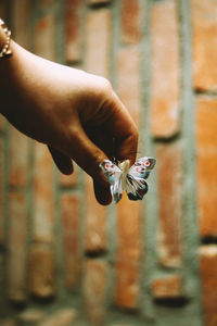 Close-up of woman hand