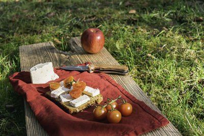 High angle view of apples on field