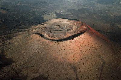 High angle view of lizard on rock