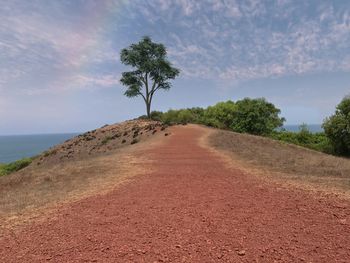 Trees on sand against sky