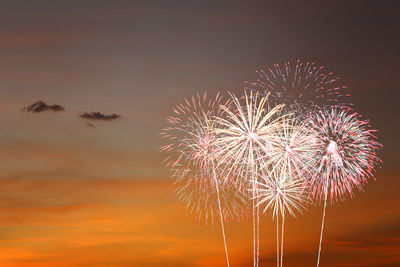 Low angle view of firework display at night