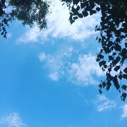 Low angle view of trees against cloudy sky