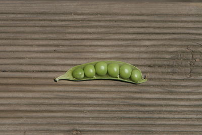 High angle view of tomatoes on table