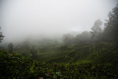 Scenic view of field against sky during foggy weather