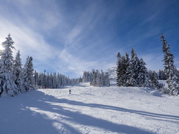 Trees on snow covered field against sky