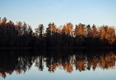 Reflection of trees in lake against sky